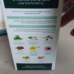 Product 8016744802055 242ab2